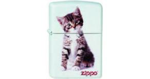 214 Kitten sitting - Зажигалка ZIPPO